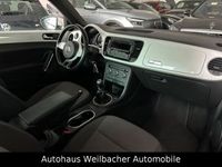 gebraucht VW Beetle Lim. Design * Super-Optik * Panorama *