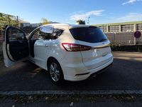 Gebraucht Ford S-MAX Titanium 190 PS (139 kW) 2020 Van / Kleinbus