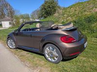 Gebraucht VW Beetle Cabriolet Exclusive 160 PS (117 kW) 2012 Braun Cabrio