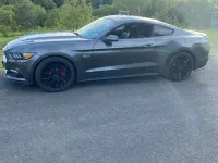 Gebraucht Ford Mustang GT 441 PS (324 kW) 2015 Grau