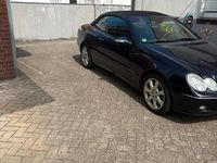 Gebraucht Mercedes CLK500 Elegance 306 PS (225 kW) 2003 Cabrio