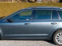 Gebraucht Skoda Octavia 150 PS (110 kW) 2017 Grau Kombi