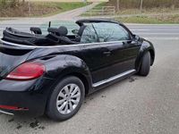 Gebraucht VW Beetle Design 105 PS (77 kW) 2018 Schwarz Kleinwagen