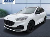 Gebraucht Ford Kuga ST-Line X 224 PS (164 kW) 2024 Weiß SUV