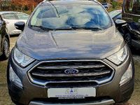 Gebraucht Ford Ecosport Titanium X 125 PS (91 kW) 2019 Grau SUV