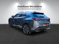 Gebraucht Lexus UX 250h 152 PS (111 kW) 2023 Grün SUV