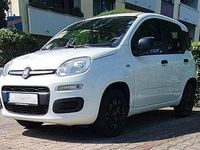Gebraucht Fiat Panda Easy 69 PS (50 kW) 2019 Weiß Kleinwagen