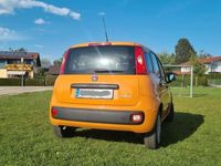 gebraucht Fiat Panda MY21 Hybrid 1.0 GSE