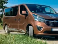 Gebraucht Opel Vivaro 145 PS (106 kW) 2017 Braun Van / Kleinbus