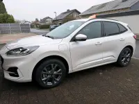 Gebraucht Ford Kuga ST-Line 224 PS (164 kW) 2021 Weiß SUV