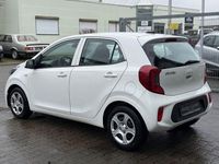 Gebraucht Kia Picanto Premium 67 PS (49 kW) 2022 Weiß Kleinwagen