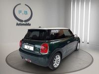Gebraucht Mini Cooper 136 PS (100 kW) 2017 Grün Kleinwagen