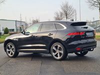 gebraucht Jaguar F-Pace 20d AWD Pure Automatik*Navi*LED*RFK*