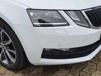 Gebraucht Skoda Octavia Drive 150 PS (110 kW) 2017 Weiß metallic Kombi