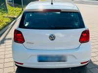 Gebraucht VW Polo 60 PS (44 kW) 2015 Weiß Kleinwagen