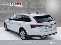 Gebraucht Skoda Octavia First Edition 200 PS (147 kW) 2021 Weiss Kombi