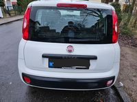 Gebraucht Fiat Panda 69 PS (50 kW) 2017 Weiß Kleinwagen