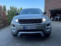 gebraucht Land Rover Range Rover evoque 2.2 TD4 Pure Pure