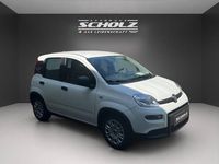 Gebraucht Fiat Panda 71 PS (52 kW) 2024 Weiß Kleinwagen