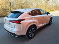 Gebraucht Lexus NX300 197 PS (144 kW) 2021 Grau SUV