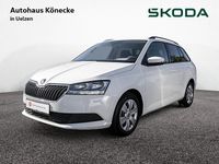 Gebraucht Skoda Fabia Ambition 60 PS (44 kW) 2022 Weiß Kleinwagen