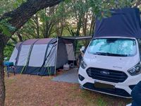 Gebraucht Ford Transit 185 PS (136 kW) 2022 Weiß Van / Kleinbus