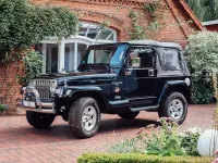 Gebraucht Jeep Wrangler Sahara 169 PS (124 kW) 2000 Schwarz SUV