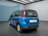 Usata Fiat Panda 71 CV (52 kW) 2024 Blu Utilitaria