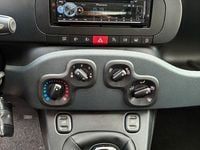 Nowe Fiat Panda 69 KM (50 kW) 2025 Czerwony Hatchback