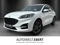 Gebraucht Ford Kuga ST-Line 224 PS (164 kW) 2021 Weiß SUV