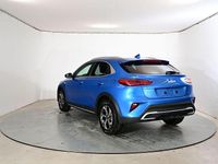 Neu Kia XCeed 116 PS (85 kW) 2025 Blau SUV