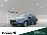 Gebraucht Skoda Octavia Ambition 150 PS (110 kW) 2024 Graphitegrau metallic Kombi