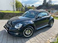 gebraucht VW Beetle Cabriolet Cup BMT 2.0 TDI NAVI~LEDER~