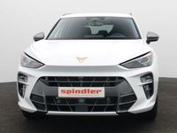 Gebraucht Cupra Terramar VZ 272 PS (200 kW) 2025 Eisweiß SUV