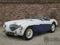 Gebraucht Austin Healey 100 1954 Weiß Cabrio