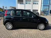 Gebraucht Fiat Panda Icon 69 PS (50 kW) 2025 Schwarz Kleinwagen