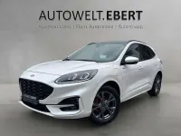 Gebraucht Ford Kuga ST-Line X 224 PS (164 kW) 2023 Arktisweiß () SUV