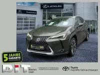 Gebraucht Lexus UX 250h 184 PS (135 kW) 2023 Terrane khaki SUV
