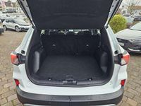 Gebraucht Ford Kuga Cool & Connect 224 PS (164 kW) 2021 Frozen white SUV