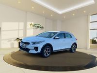 Gebraucht Kia XCeed Spirit 105 PS (77 kW) 2022 (hw2) deluxeweiss met. SUV