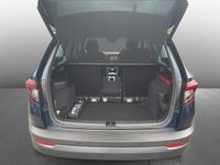 Gebraucht Skoda Karoq Clever 150 PS (110 kW) 2021 Lavablau metallic SUV