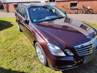 Gebraucht Mercedes E250 Elegance 204 PS (150 kW) 2013 Braun Kombi