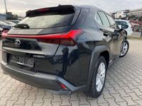 gebraucht Lexus UX 250h Hybrid Luxury Line