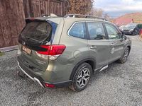 Gebraucht Subaru Forester Trend 150 PS (110 kW) 2020 Grün SUV