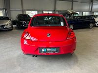 gebraucht VW Beetle Sport Pano Automatik 1.Hand