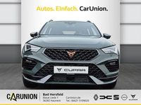Neu Cupra Ateca 150 PS (110 kW) 2025 Dark forest grün met SUV