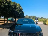 Gebraucht Ford Mustang GT 449 PS (330 kW) 2021 Schwarz Cabrio