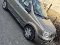 Gebraucht Fiat Panda Dynamic 60 PS (44 kW) 2009 Beige Kleinwagen