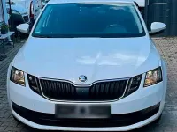 Gebraucht Skoda Octavia 116 PS (85 kW) 2019 Weiß Kombi