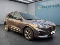 Gebraucht Ford Kuga ST-Line X 150 PS (110 kW) 2024 Grau SUV